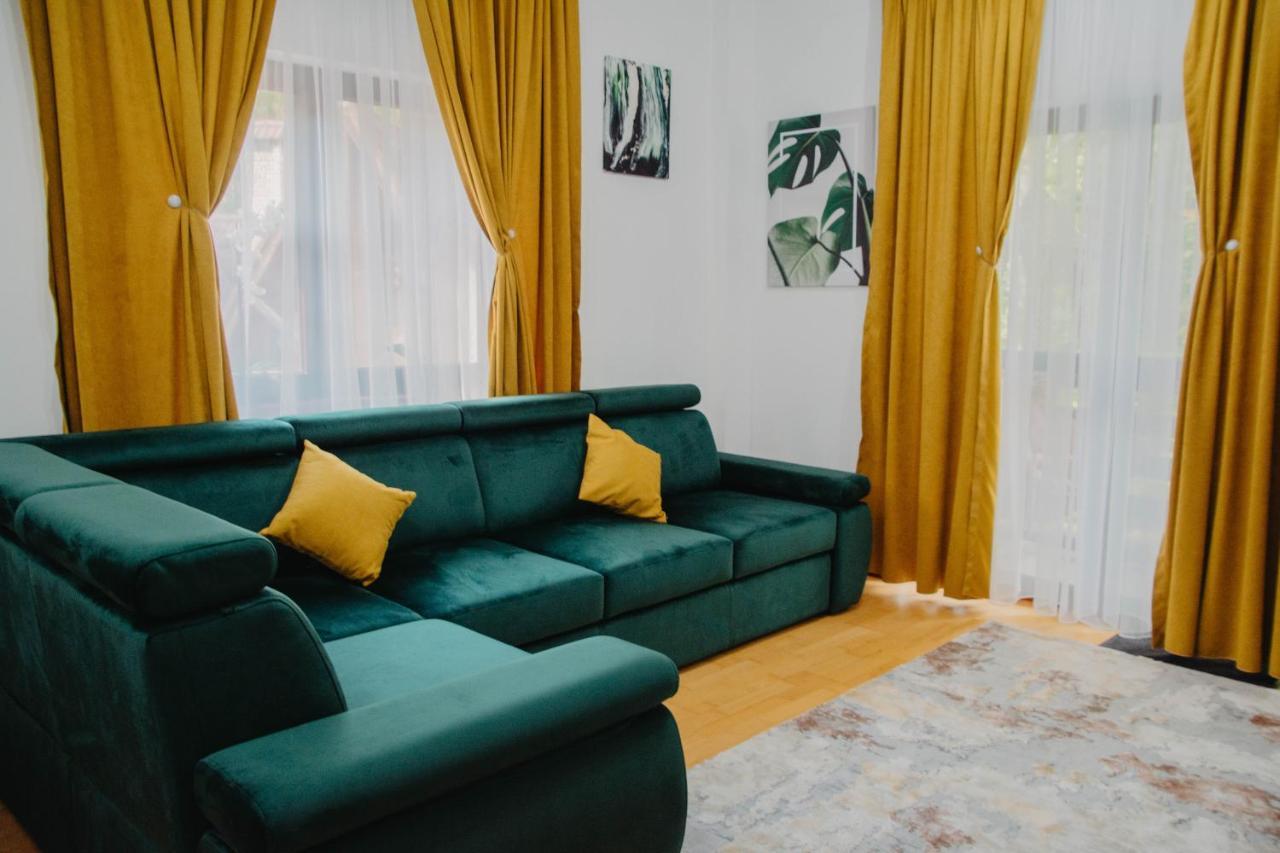 Hugo Mountain Apartment Sinaia Exterior photo