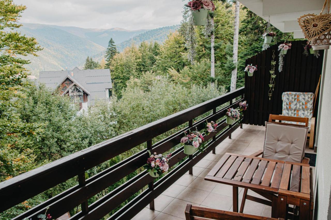 Hugo Mountain Apartment Sinaia Exterior photo